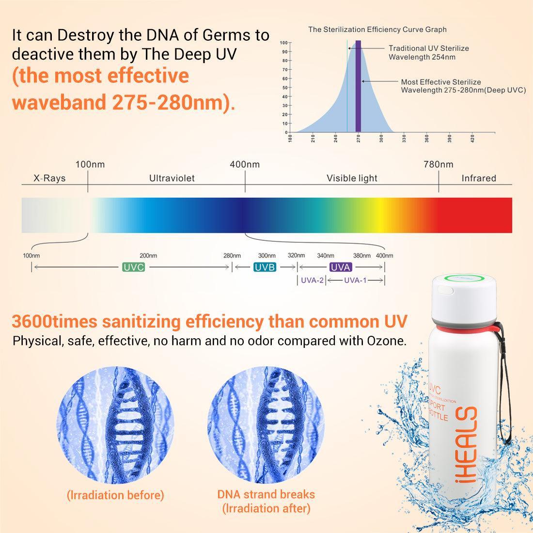 DU06 UV Self-Cleaning UV Water Bottle-White&Black - Maxoak